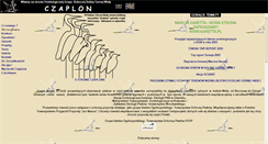 Desktop Screenshot of czaplon.most.org.pl